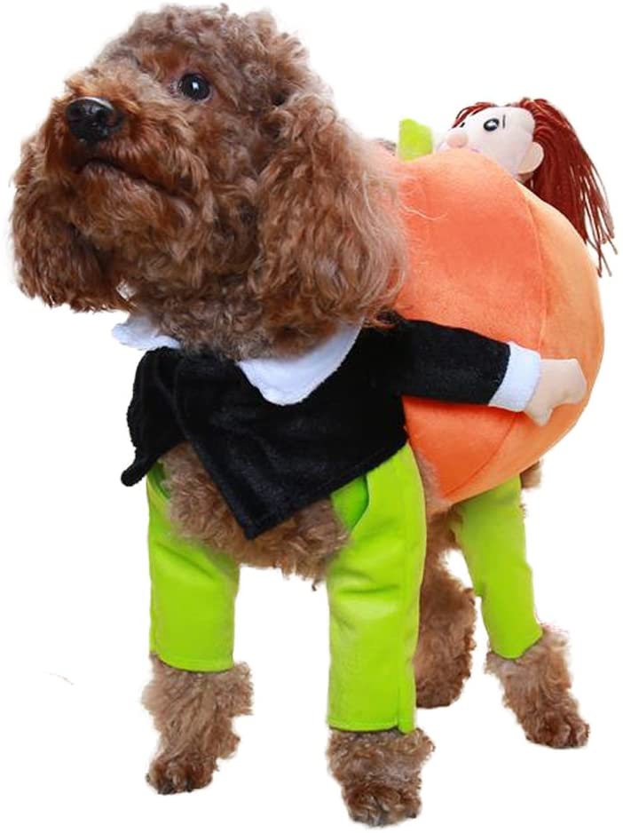 Dog Pumpkin Halloween Costume - Dennet