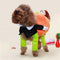Dog Pumpkin Halloween Costume - Dennet