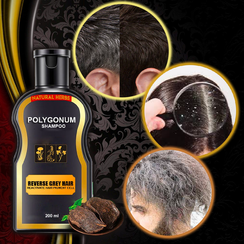Grey Reverse Hair Darkening Shampoo - Dennet